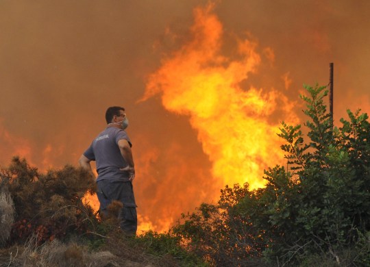 Ομολογία Μ.Γιλμάζ: “Κάψαμε τα δάση της Ελλάδας για … αντίποινα”!