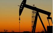 Διεθνής Οργανισμός Ενέργειας: “Οι ΗΠΑ θα ξεπεράσουν τη Σ.Αραβία στην παραγωγή πετρελαίου”
