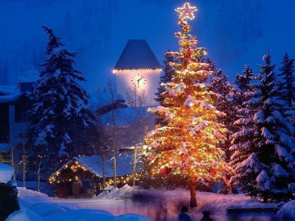 “Το χριστουγεννιάτικο δέντρο προσβάλλει τις θρησκείες”!