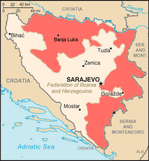 Το Διεθνές Δικαστήριο θεώρησε ότι δεν υπήρξε Γενοκτονία των Σέρβων της Κράινα!