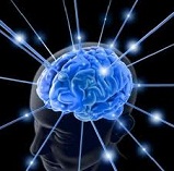 10 απίθανες πληροφορίες για τον ανθρώπινο εγκέφαλο (video)