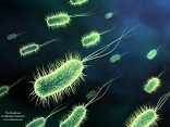 Εντοπίστηκε η “βιολογική αλχημεία” των βακτηρίων της λέπρας