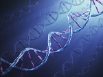 Για πρώτη φορά αποθηκεύτηκαν πολλά ψηφιακά δεδομένα στο μόριο του γενετικού κώδικα DNA