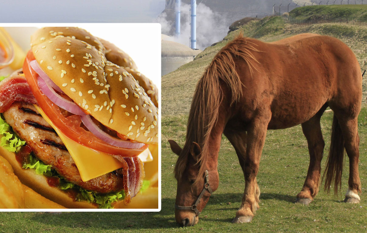 Διευκρινίσεις του ΕΦΕΤ για τα προϊόντα που περιέχουν κρέας αλόγου