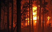 500 σπίτια κάηκαν σε πυρκαγιά στο Κολοράντο των ΗΠΑ