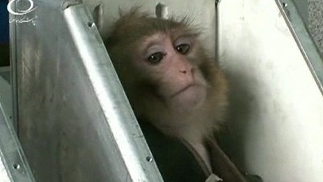 Ιράν: Ολοκληρώθηκε με επιτυχία η δεύτερη αποστολή μαϊμούς στο διάστημα