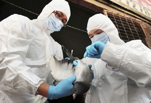 Κίνα: Δεύτερο κρούσμα γρίπης των πτηνών σε άνθρωπο