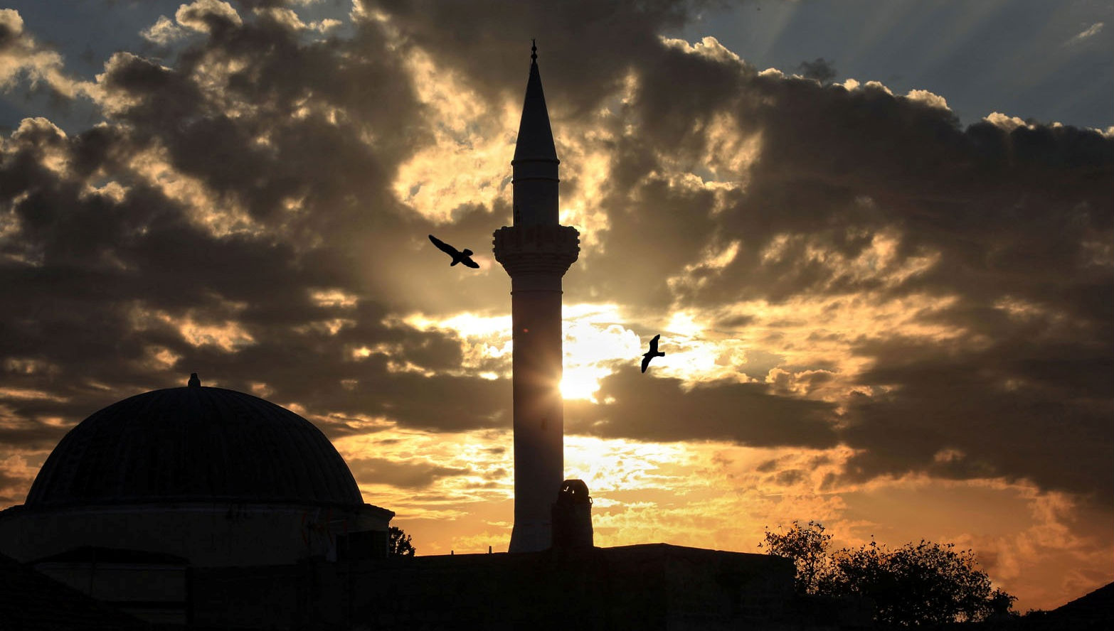 Κινούνται επικίνδυνα οι πράκτορες της ΜΙΤ: Συνέδριο για την “καταπίεση” των “Τούρκων” της Ρόδου και της Κω