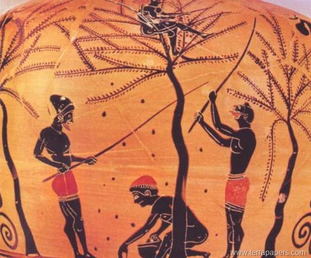 Αρχαία Αθήνα: Πώς έπαιρναν υψηλό φόρο στα σιτηρά – Mέσο άσκησης διπλωματίας και εξωτερικής πολιτικής