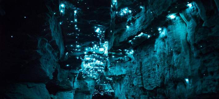 Έντομα που φωσφορίζουν δημιουργούν ένα μαγευτικό τοπίο στις σπηλιές της Νέας Ζηλανδίας [εικόνες]