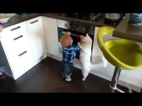 Γάτα απομακρύνει μωρό που προσπαθεί να ανοίξει το φούρνο της κουζίνας (video)