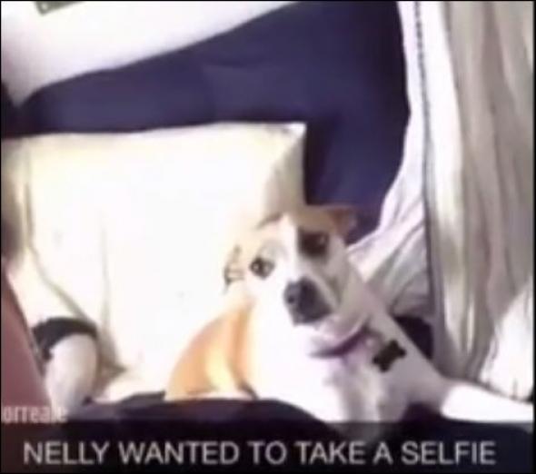 Η selfie που σαρώνει στο διαδίκτυο (video)