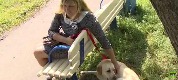 Μια συγκινητική επανένωση – Κλεμμένος σκύλος-οδηγός επιστρέφει στην τυφλή ιδιοκτήτριά του [βίντεο]