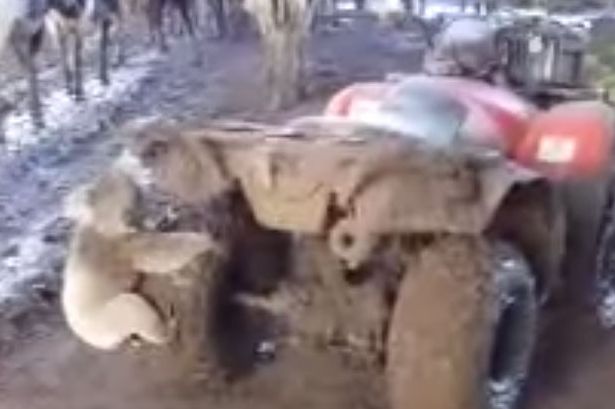 Κοάλα παίρνει στο κυνήγι αγρότη για να… [βίντεο]
