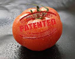 No Patents on Seeds