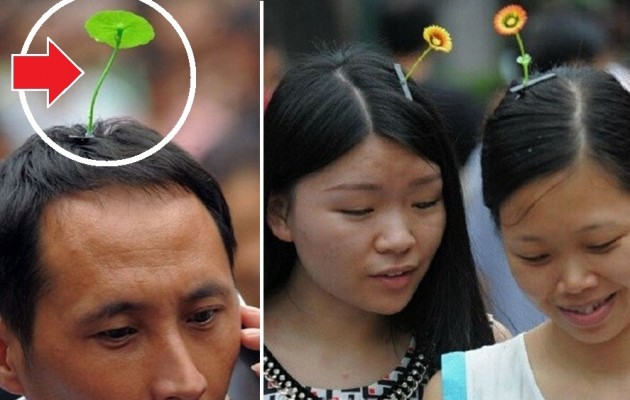 Νέα μόδα στην Κίνα! «Φυτρώνουν» λουλούδια στα κεφάλια τους [εικόνες]