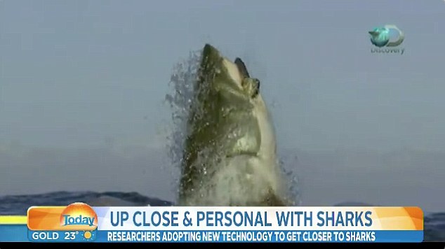 Αυτός ίσως να είναι ο μεγαλύτερος λευκός καρχαρίας που καταγράφηκε ποτέ σε κάμερα! [βίντεο]
