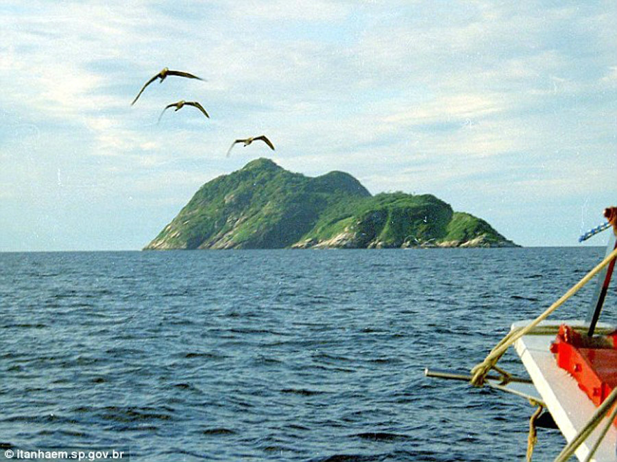 Το «καταραμένο» νησί που ζει το πιο δηλητηριώδες φίδι του κόσμου (Φωτo)