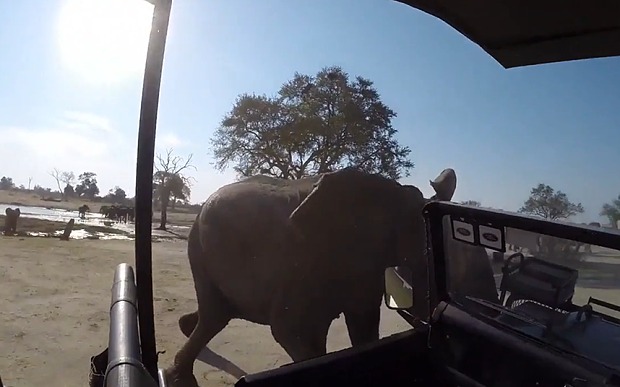 Εξαγριωμένος ελέφαντας επιτίθεται σε τουρίστες και αναποδογυρίζει το όχημά τους (vid)