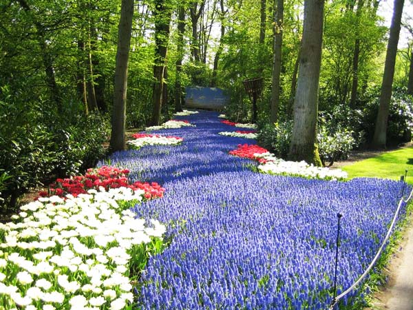 Δείτε τον πιο όμορφο κήπο του κόσμου και αναμφίβολα τον πιο χρωματιστό (φωτό)