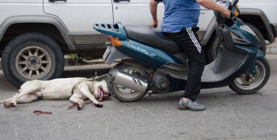 Σοκ στην Ηλεία: Έσερνε με μοτοσικλέτα έναν σκύλο