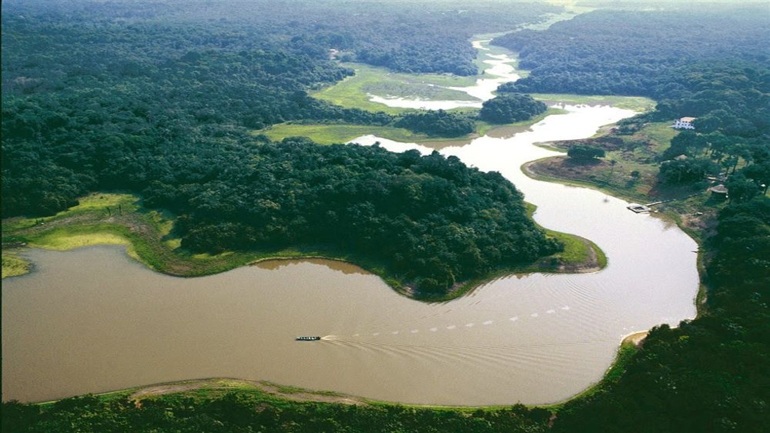Νορβηγία: Επιβραβεύει τη Βραζιλία με 1 δισ. δολάρια για τη διατήρηση των δέντρων του Αμαζονίου