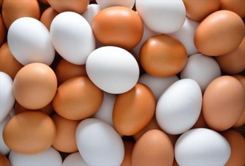 «Μπλόκο» του ΣΔΟΕ σε φορτίο με 302.400 αυγά από τη Βουλγαρία
