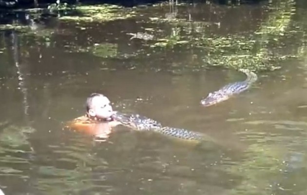 Να τι παθαίνει κανείς όταν πάει να φιλήσει στο στόμα έναν… αλιγάτορα! (βίντεο)