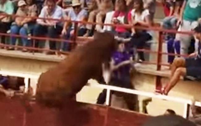 Μαινόμενος ταύρος σκόρπισε τον τρόμο πηδώντας…στην εξέδρα! (video)