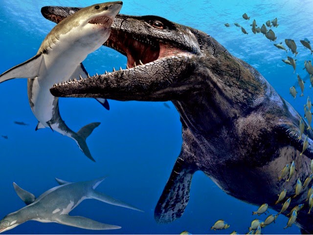 Godzilla ή Kraken; Τι θα μπορούσε να φάει ένα μεγάλο λευκό καρχαρία; (vid)