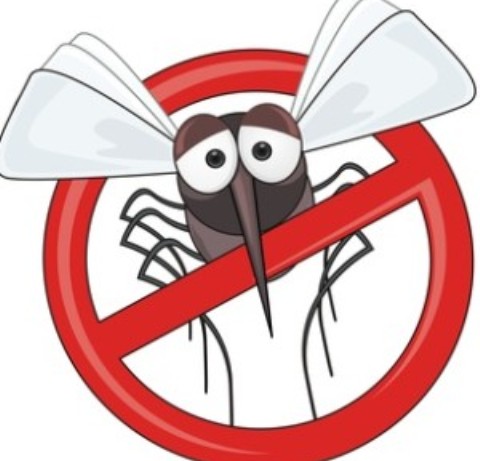 Κουνούπια τέλος! Το ακαταμάχητο μυστικό για να μην σας ξανά τσιμπήσουν