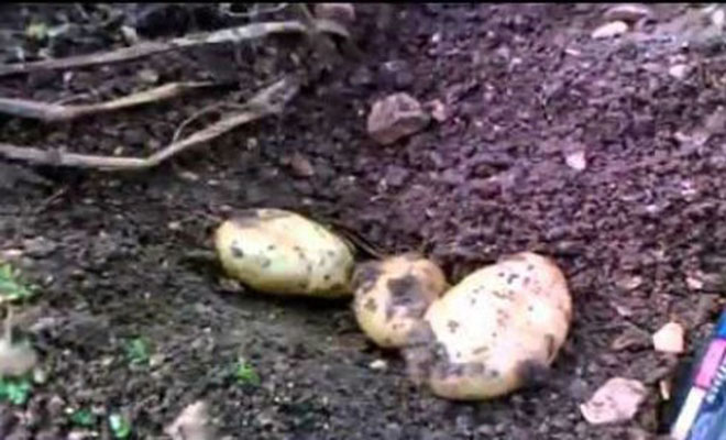 1441540546-d0096ec6c83575373e3a21d129ff8fef