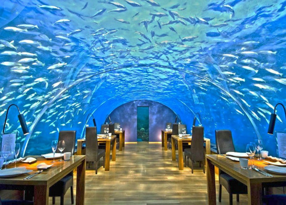 2560810-R3L8T8D-1000-ithaa-undersea-restaurant