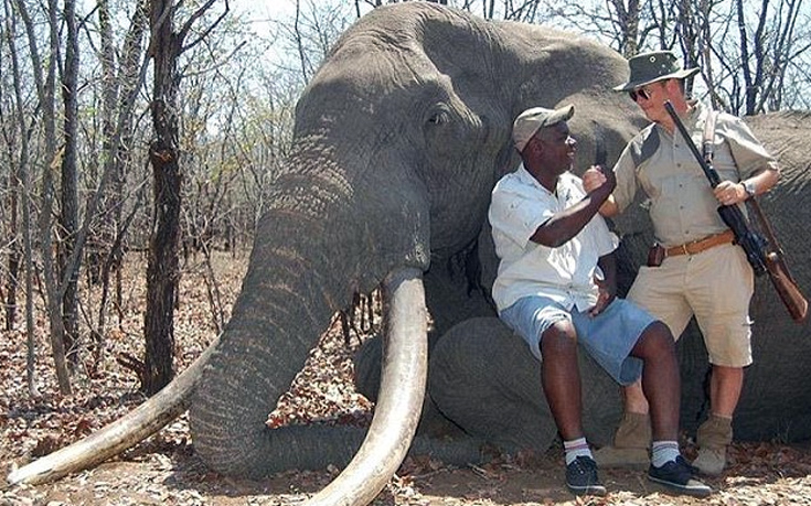 Γερμανός κυνηγός σκότωσε τον γηραιότερο ελέφαντα στην Αφρική! [φωτο]