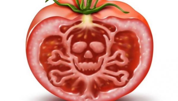 6 επικίνδυνες τοξίνες σε επεξεργασμένες τροφές – Ποιες είναι