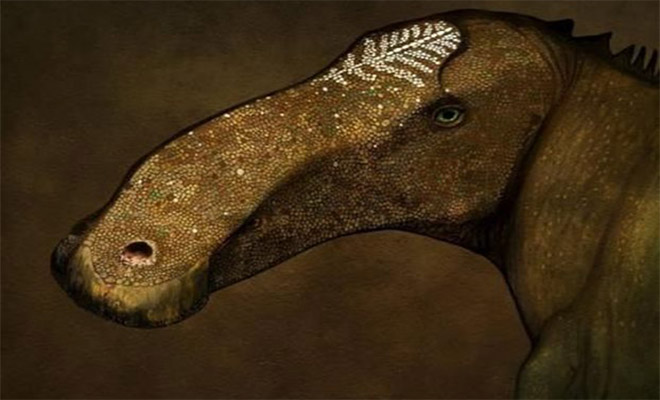 Ένα ακόμη άγνωστο είδος δεινοσαύρων εντοπίστηκε στη Μοντάνα των ΗΠΑ [φωτό]