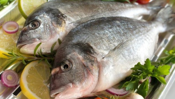Προσοχή: Μεταλλαγμένα ψάρια και κρέας με προέλευση ΗΠΑ