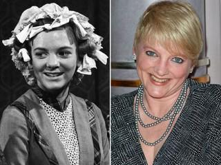 ArticleImage 11455-jpg