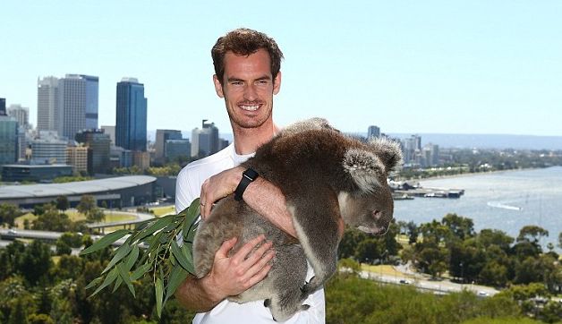 Η “αποφόρτιση” του Μάρεϊ στην Αυστραλία με το κοάλα !