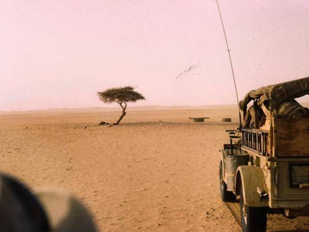 Σαχάρα: Το πιο μοναχικό δέντρο στον κόσμο