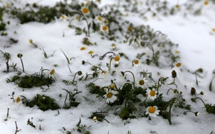 «Πολικές» θερμοκρασίες στη Δυτική Μακεδονία: Στους -12,8 στην Πτολεμαΐδα, στους -15,9 στα Γρεβενά!