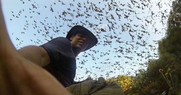 Εκατομμύρια νυχτερίδες εγκαταλείπουν μια σπηλιά ταυτόχρονα (vid)