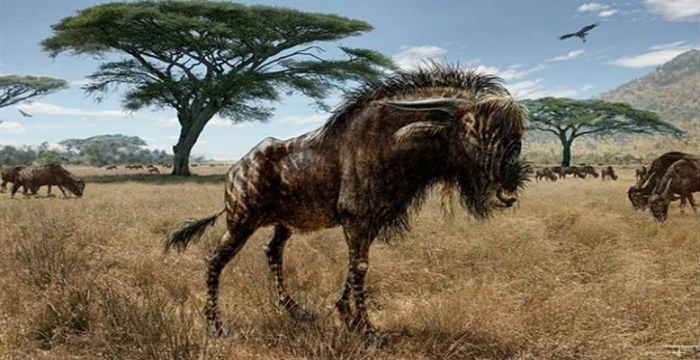 Κένυα: Ανακαλύφθηκαν τα απολιθώματα ενός άγνωστου είδους ζώου που ζούσε στην Αφρική πριν 75.000 έτη [φωτό]