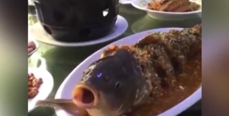 Viral: Μαγειρεμένο ψάρι «ζωντανεύει» όταν του δίνουν αλκοόλ! (βίντεο)