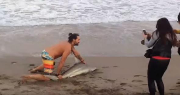 Εβγαλε καρχαρία από τη θάλασσα… για να τραβήξει μια φωτογραφία! (βίντεο)