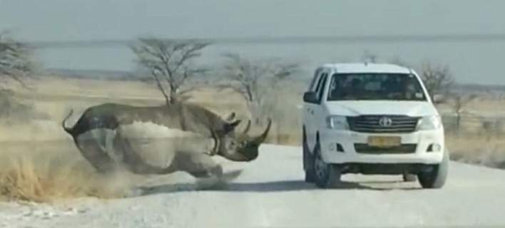 Φοβερή σκηνή: Αφηνιασμένος ρινόκερος επιτίθεται και σπάει τζιπ τουριστών (φωτό & βίντεο)