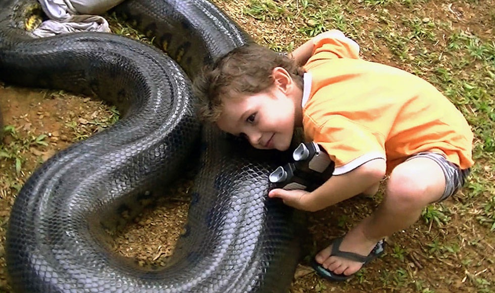 Βρήκε ένα Anaconda στο σπίτι του και προσπάθησε να το αγγίξει… (βίντεο)
