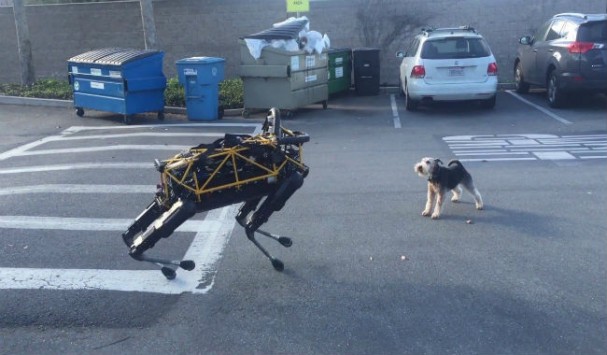Ξεκαρδιστικό: H μάχη ενός αληθινού σκύλου με το σκύλο – ρομπότ της Google (vid)