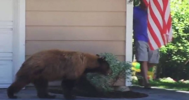 Ένας άνδρας και μια αρκούδα συναντήθηκαν πρόσωπο με πρόσωπο στη γωνία ενός σπιτιού… και δείτε τι έγινε! (βίντεο)