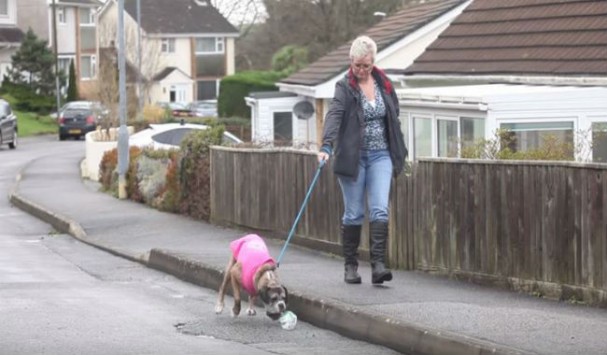 Αυτός ο σκύλος μαζεύει όλα τα πλαστικά μπουκάλια κάθε φορά που βγαίνει για βόλτα– O λόγος; Μοναδικός! (βίντεο)